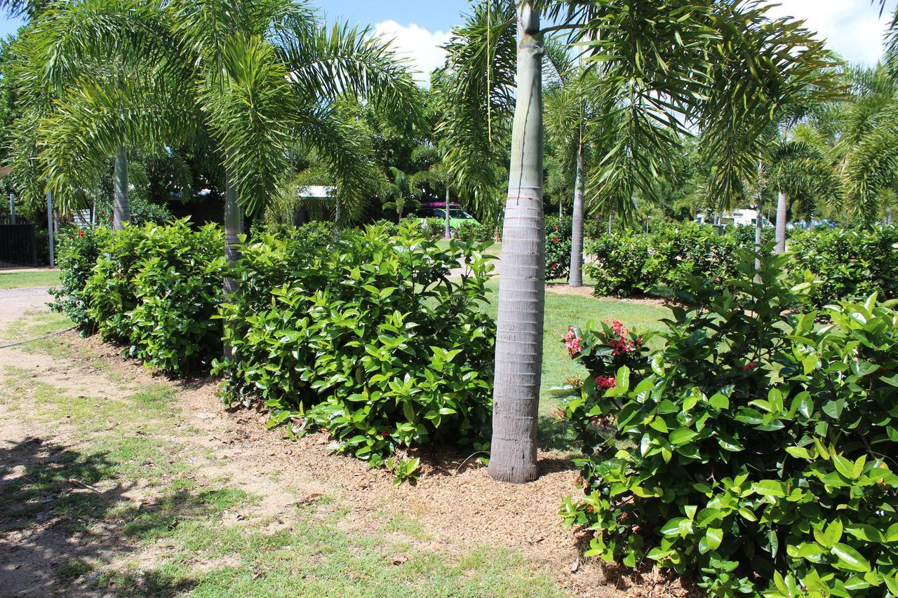 Dunk Island View Caravan Park Wongaling Beach Ngoại thất bức ảnh